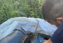 Pozzuoli, controlli ambientali con l’Esercito: sequestri e denunce per sversamento illecito