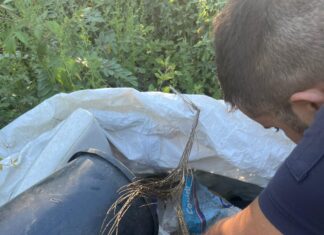 Pozzuoli, controlli ambientali con l’Esercito: sequestri e denunce per sversamento illecito